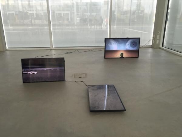 Tank, Killing softly, Zweikanal Videoinstallation mit Ton, 16:9, Loop, 03:02‘ und 01:12‘