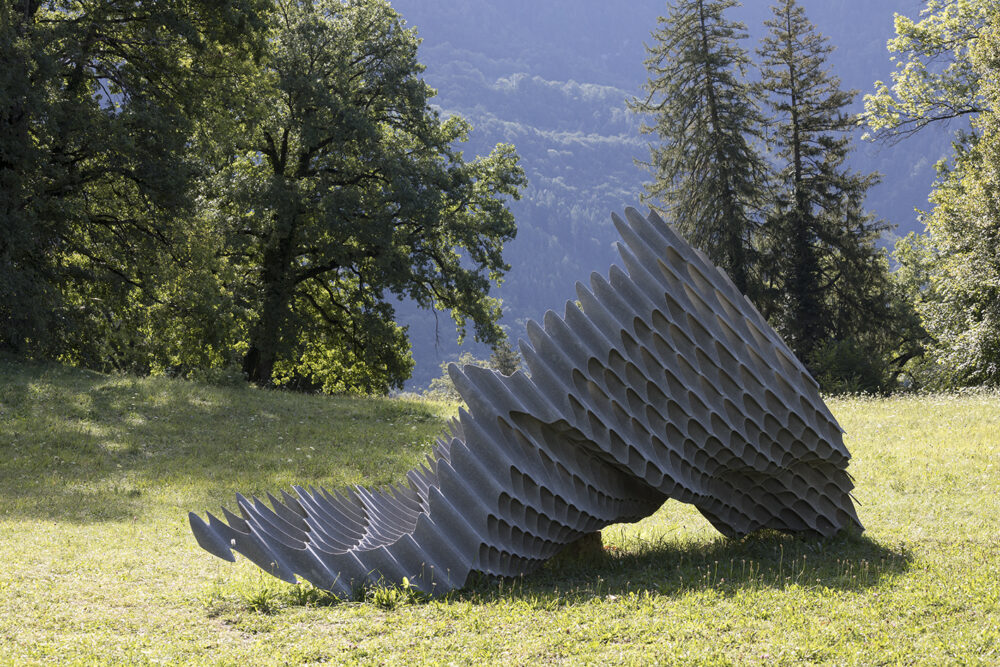 Eine Beziehungsweise. Distanzrufe der Steinkäuze