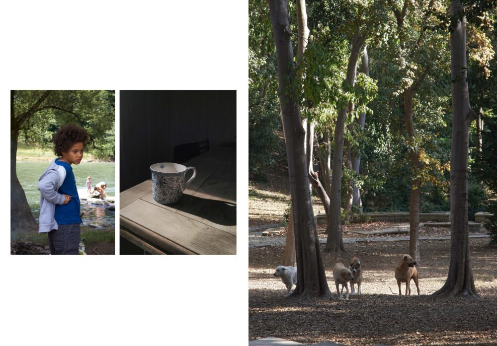 Doppelseite aus: an immediate beauty remix - adventures in time and space and colour