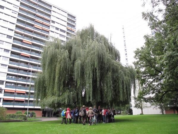 Von B nach B. Spazieren als Experimentierfeld für künstlerische Arbeitsweisen, 2014