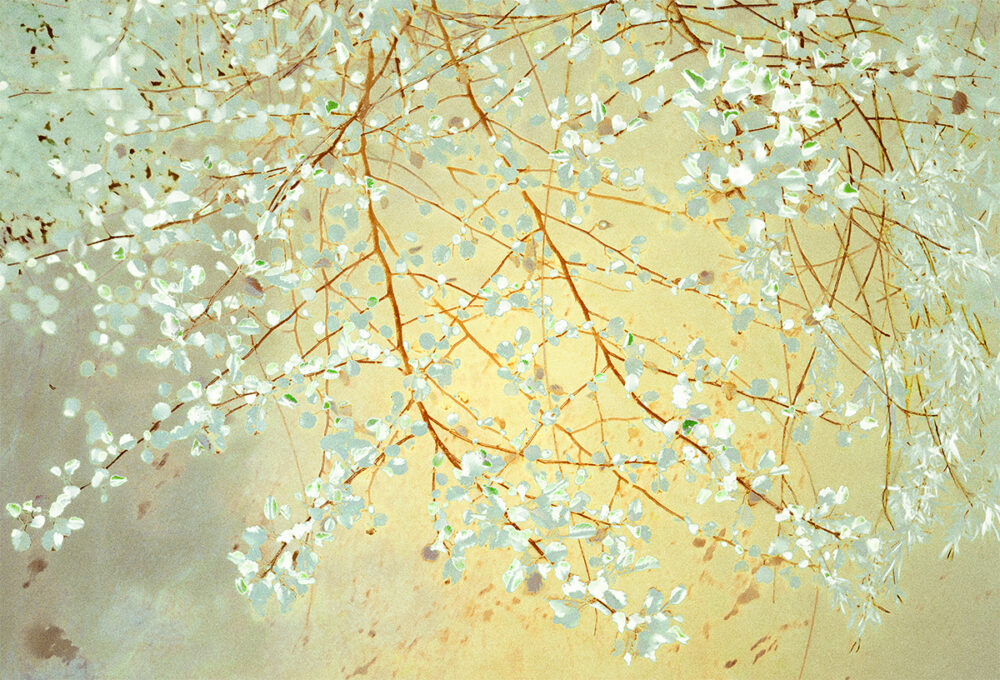 Sonja Maria Schobinger Spring Celebration