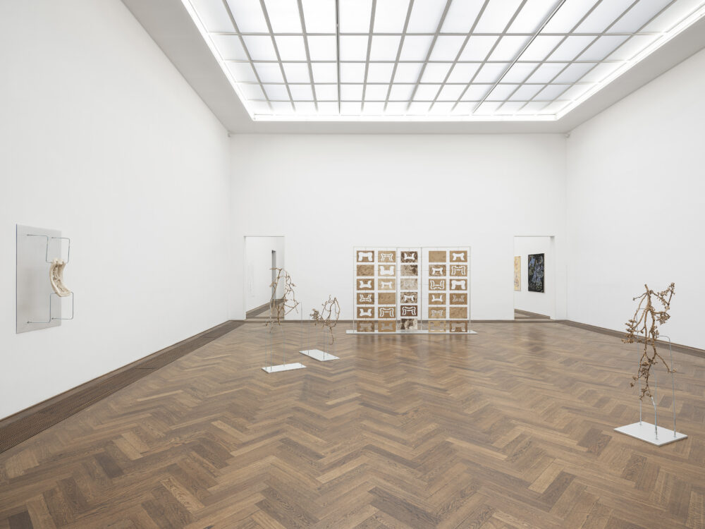 HydraUnit. 2025 Werkbeitrag, Kunsthalle Basel. © Susi Hinz. Photo: Viswerk.