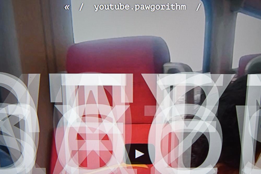 youtube.pawgorithm, 2016, website + variable size, projection, computer with custom software