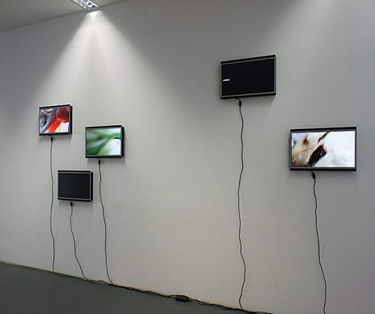 überHaupt 2013, Installation, Bild/Worte im Wechsel, fünf 19" LCD-Monitoren, Kunstverein D-Viernheim
