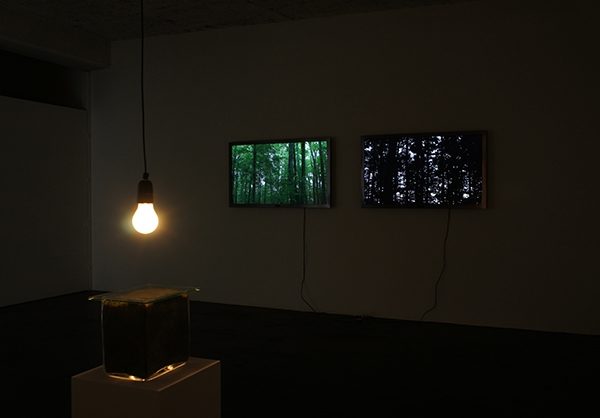 vonWegen 2012, Akuglas, Waldboden, Glühbirne, 2 HDV-Flatscreens, Chelsea Galerie Laufen BL