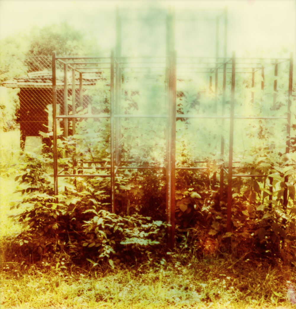 1 1
