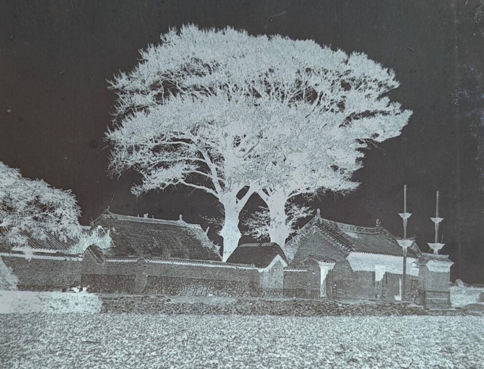 Archivfoto Qingdao Thea Josepha Konatsu